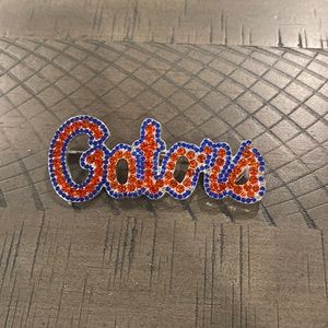 Florida gator crystal broach